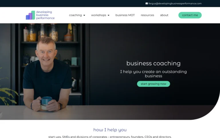 Home page of the Developing Business Performance website