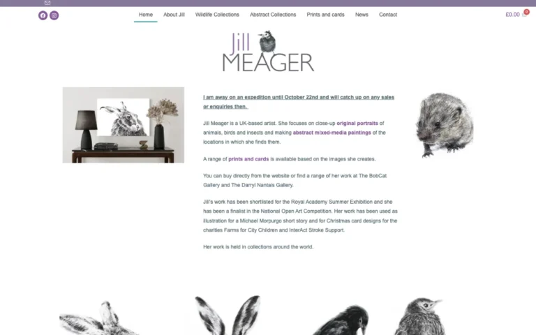 Home page of the Jill Meager website