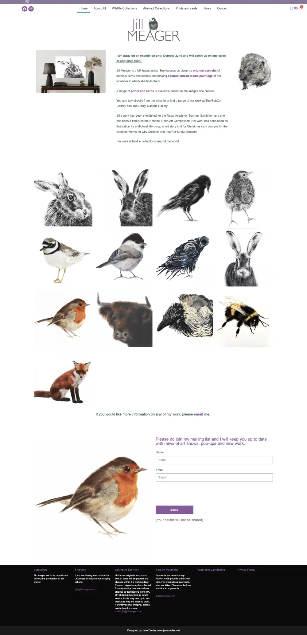 Screenshot of the whole Jill Meager home page
